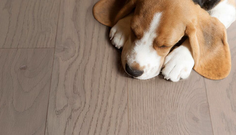 比利時PARKY高科技實(shí)木復(fù)合地板,進(jìn)口地板,環(huán)保地板