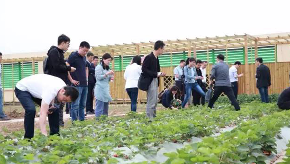 “2017年第五季室內(nèi)設(shè)計(jì)-中國行”青島站 | 驚“天”動(dòng)地，“鋒”起云涌 7