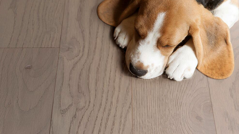 得高環(huán)保地板嚴(yán)標(biāo)準(zhǔn)、高品質(zhì)！ 圖片7