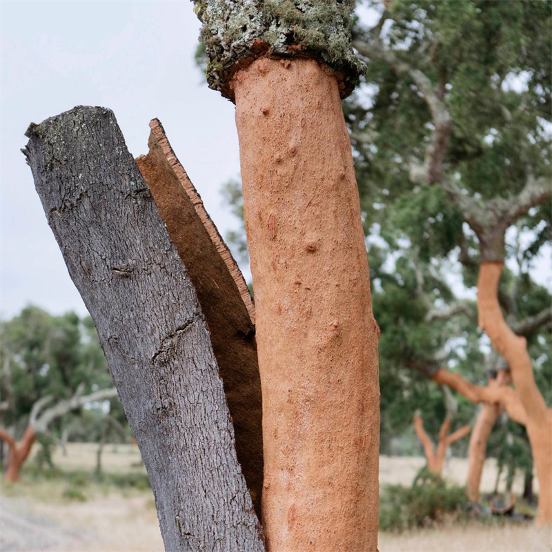 探索健康家居環(huán)境，得高地墻一體推動(dòng)居住升級(jí) image2
