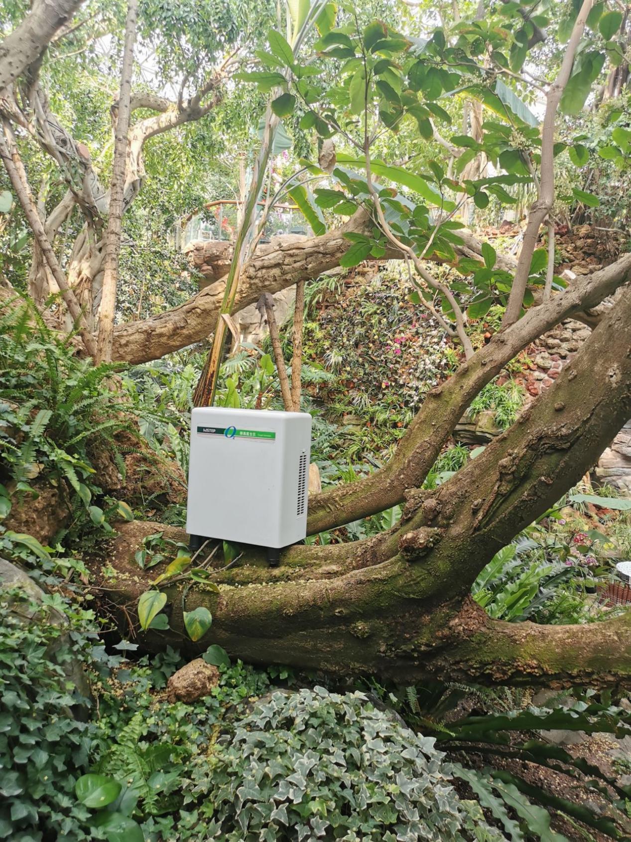 居家也要暢快呼吸,得高教你實現(xiàn)科學補氧! image3 居家也要暢快呼吸,得高教你實現(xiàn)科學補氧! image3