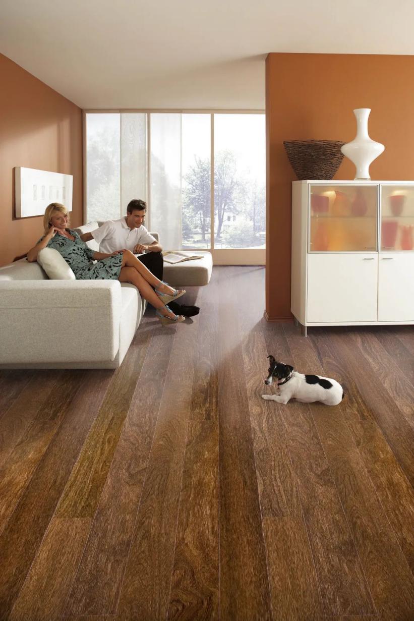 一站國際家|以國際視野，甄選品質(zhì)家居 image1